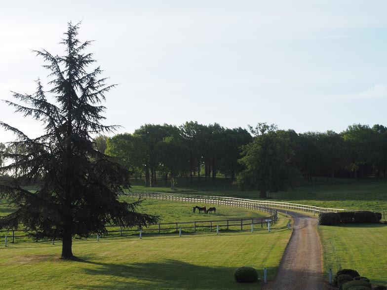 Hotel Haras De La Potardiere Crosmières Εξωτερικό φωτογραφία